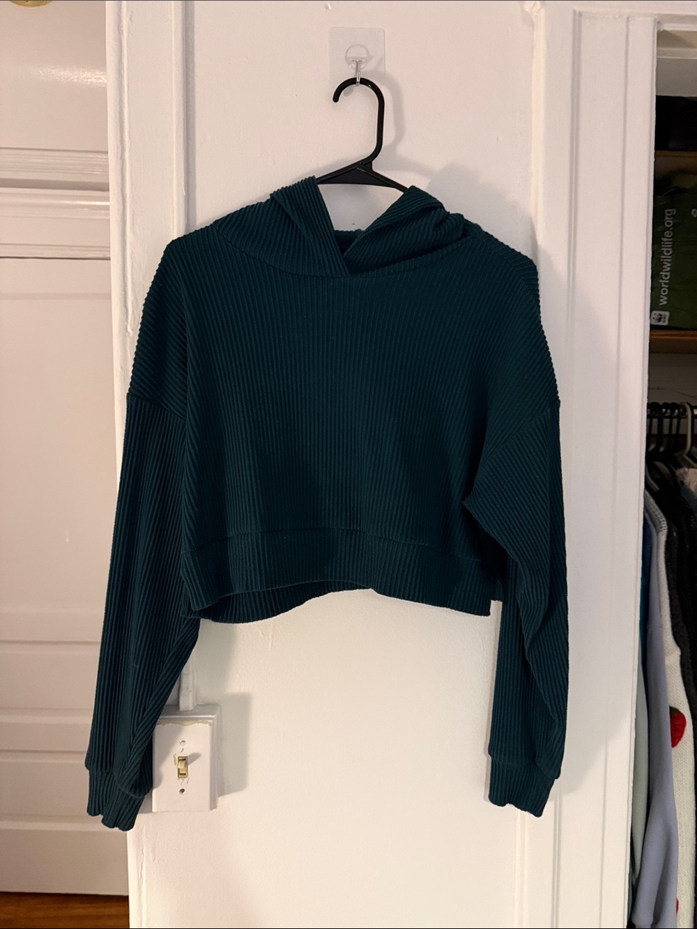 ALO Yoga Ribbed Cropped Hoodie in Deep Teal